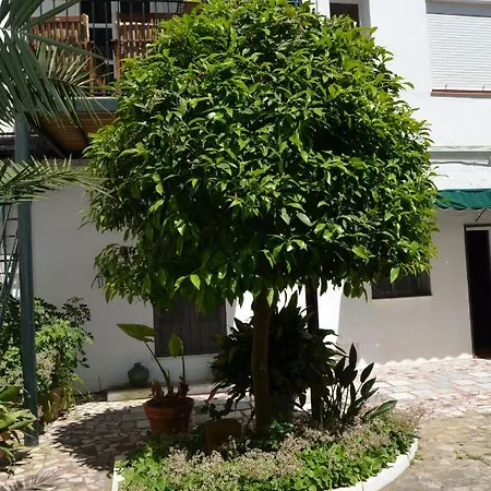 Casa Miler *